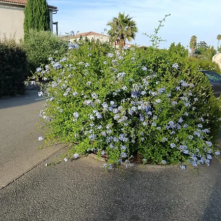 Refait A Neuf Bord De 公寓
